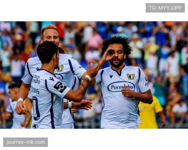 法马球队结构重塑推动战略革新，新赛季阵容布局备受瞩目