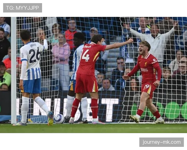 韦尔贝克持续建功，助布莱顿稳步提升英超竞争力