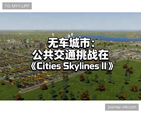 都灵中路渗透行动引发关注：城市交通安全面临新型挑战