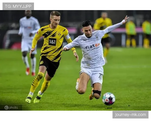 门兴球迷表现稳健，赛场内外持续提升支持热情