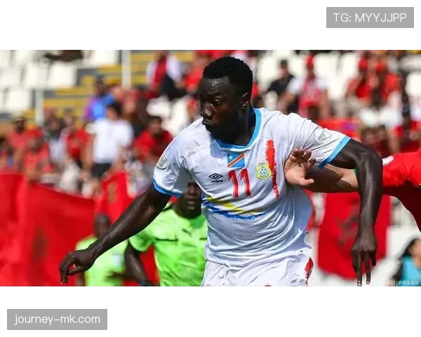 非洲国家杯最新赛况与积分榜更新